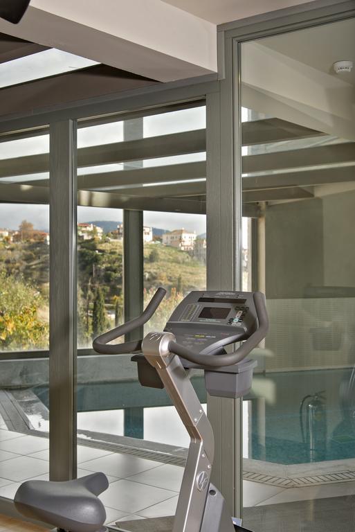 Aegli Arachova Hotel Luaran gambar